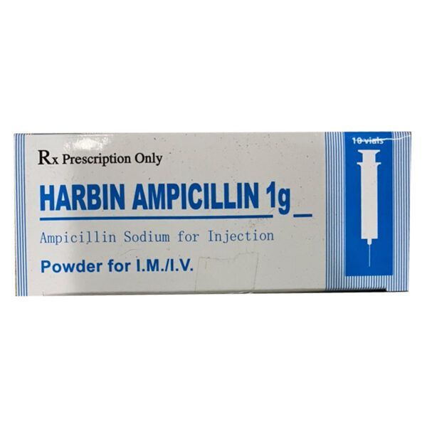 Harbin Ampicillin 1g hộp 10 lọ