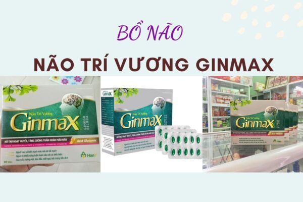 Não Trí Vương Ginmax - Tuần Hoàn Máu Não